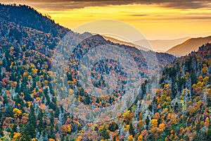 Great Smoky Mountains National Park, Tennessee, USA at the Newfound Pass photo