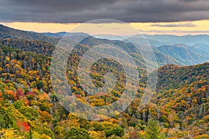 Great Smoky Mountains National Park, Tennessee, USA at the Newfound Pass