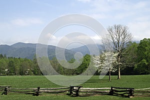 Great Smoky Mountains in Spring photo