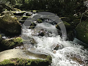 Great Smoky mtn park photo