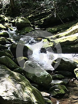 Great Smoky mtn park photo