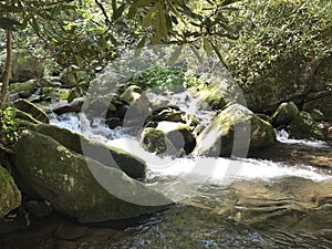 Great Smoky mtn park photo