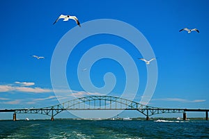 On the Great South Bay photo