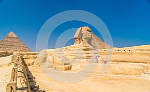 Great Sphinx of Giza on the background of the Pyramids, Cairo, Egypt
