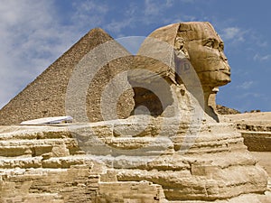 Great Sphinx of Giza.  Cairo Egypt