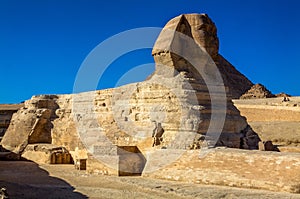 The Great Sphinx of Giza, Cairo, Egypt.