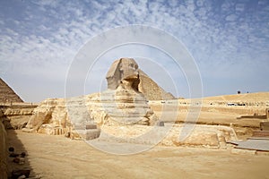 The Great Sphinx in Giza, Egypt