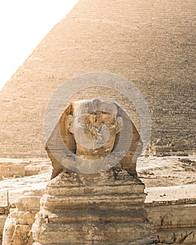 The Great Sphinx of Giza photo