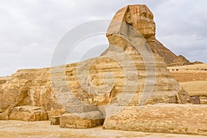 The great Sphinx in Giza plateau. Cairo, Egypt