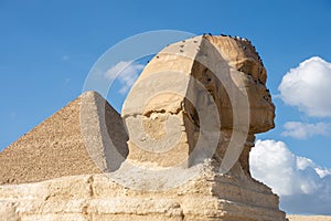 The Great Sphinx and The Great Pyramid of Giza - the biggest Egyptian pyrami