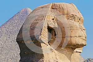 great sphinx with the pyramid in the background in Giza, Egypt