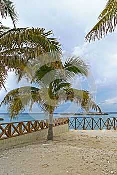 Great Stirrup Cay, BAHAMAS.