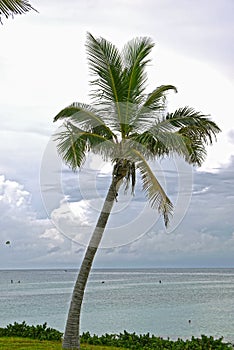 Great Stirrup Cay, BAHAMAS.