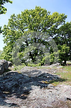 Great stones at Szentbekalla