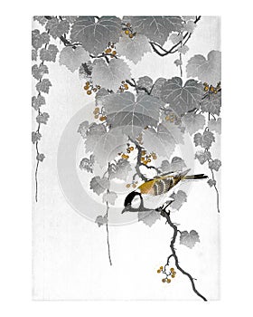 Great tit bird on a paulownia branch vintage illustration wall art print and poster design in black and gold, remix from original