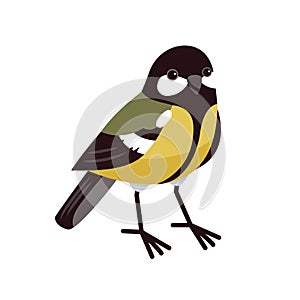 Great tit in cartoon style isolated on a white background. City birds, tomtit. Parus major.