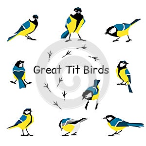 Great tit. Feathered in a flat style isolated on a white background