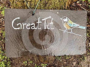 Great Tit Illustrated and Written Slate Sign