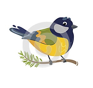 Great tit. Vector illustration of a feathered titmouse character. Cute bird in flat cartoon style. Isolated on white