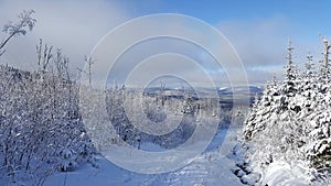 Great from the top of the Black Mountain