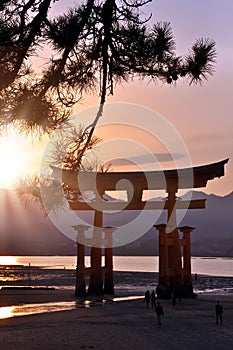 Great tori of Miyajima in the sunset