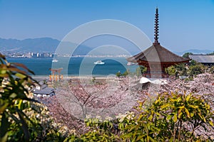 The Great Torii of Miyajima Island, Hiroshima, Japan from mountain view with ferry ship