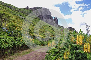 A great trail, beautiful scenery with views of the rock dos Frades, Flores Island, Azores, Portugal