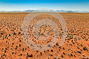 Great view over grassy desert plain and mountain range