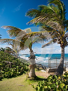 Great view of the sea on a beautiful windy day at Condado beach, San Juan, Puerto Rico