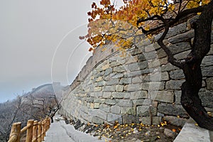 The Great Wall of China. Mutianyu. China