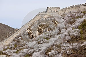 Der große wand aus im frühjahr 