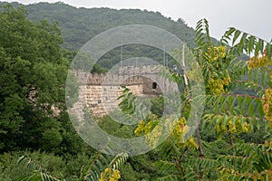 Great Wall of China between trees, surrounded with green plants