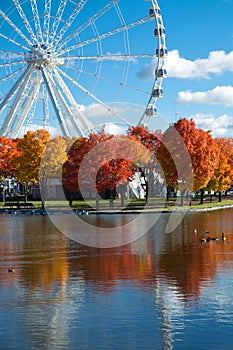 Great wheel of Montreal during fall season photo