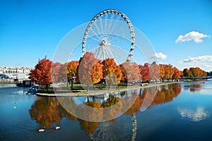 Great wheel of Montreal during fall season photo