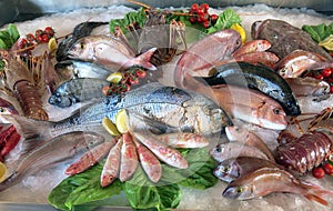 great white sea bream many saltwater fish in the italian restaurant