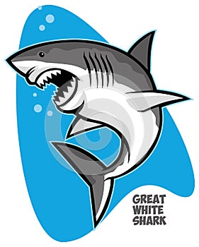 Great white shark