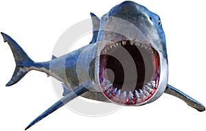 Great White Shark Attack Isolated photo