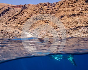 A Great White Shark Breaches the Surface at Guadalupe Island in Mexico