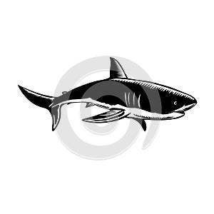 Great White Shark Carcharodon Carcharias White Shark or White Pointer Side View Retro Woodcut Black and White