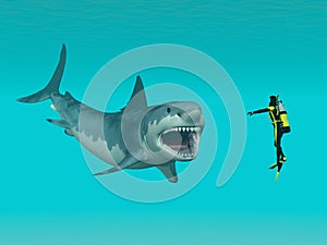 Great White Shark and Diver