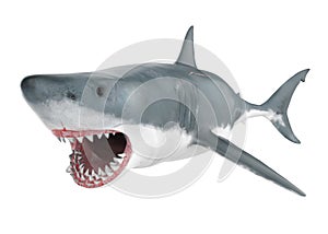 Great White Shark Isolated