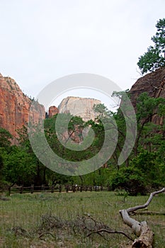 Great White Throne, Zion National Park, Utah