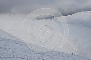 Great winter storm landscape on slope of Gemba mountain, Ukraine