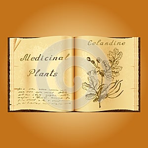 Greater celandine. Botanical illustration. Medical plants. Book herbalist. Old open book