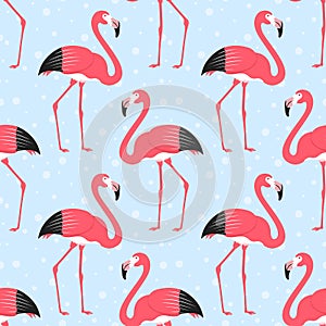 Greater Flamingo Seamless Pattern