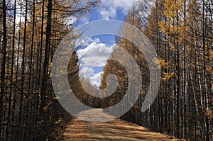 The Greater Hinggan Mountain