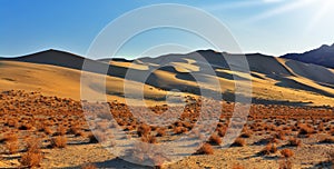 The greater sandy dune Eureka