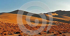 The greater sandy dune Eureka on sunrise