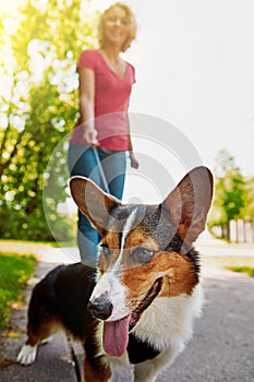 The greatest gift you can give your pets is time. an attractive young woman walking her dog in the park.