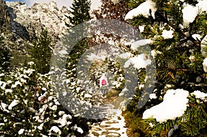 Veľkosť prírody. Tatranský národný park. Vysoké Tatry. Slovensko.